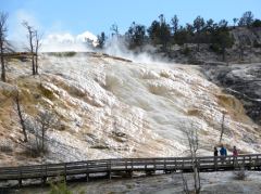 Mammoth Hot Springs