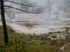 Bei den Paintpot Hills im Yellowstone