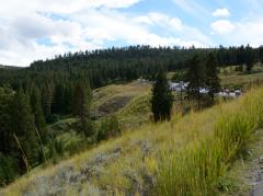 Landschaft beim Towerfall im Yellowstone