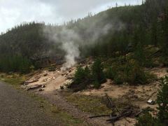 Dampf-Geysir gleich am Strassenrand vor Paintpot Hills