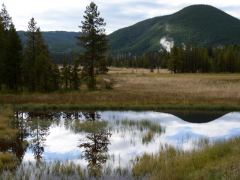 Reflektionen auf einem Teich in der Nähe des Artists Paintpod im Yellowstone Nationalpark