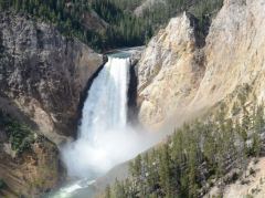 Lower Falls des Yellowstone River 
