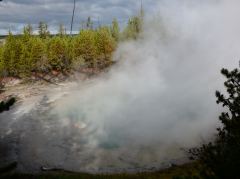 Einer der vielen Teiche mit heissen Quellen oder aufsteigenden Gasen im Norris Geyserfeld des Yellowstone Nationalparks