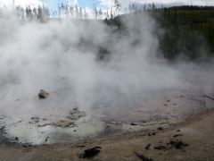 Einer der vielen Teiche mit heissen Quellen oder aufsteigenden Gasen im Norris Geyserfeld des Yellowstone Nationalparks