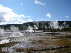 Ein kleiner Überblick über die vielen kochenden Geysire und Quellen des Norris Geyserfelds im Yellowstone Nationalpark