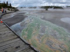 Wunderschöne Farben im oberen Norris Geyserfeld des Yellowstone Nationalparks