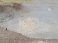 Blubbernder Tümpel beim Black Dragons Caldron im Yellowstone Nationalpark