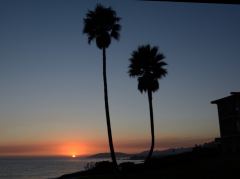 Sonnenuntergang in Pismo Beach mit Palmen im Vordergrund