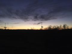 Sonnenaufgang in der Nähe von Gainesville
