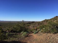 Aussicht gegen Westen auf einem kleinen Wanderweg im Picacho Peak State Park