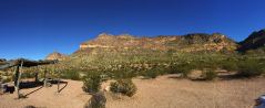 Panorama beim Picknick-Platz am Ajo Mountain Drive des Organ Pipe Cactus N.M.