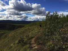 Aussichtspunkt entlang des Klondike Highway