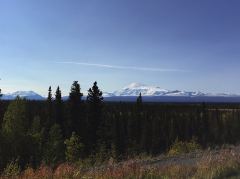 Der Mount Sanford vom Tok Highway aus gesehen