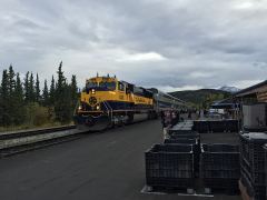 Zug der Holland-America Chartergesellschaft im Bahnhof von Denali N.P. in Alaska