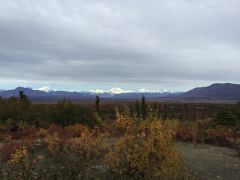 Alaska Range entlang des Denali Highway
