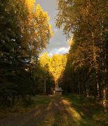 Herbststimmung im Chena River Campground