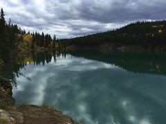 Der leicht gestaute Yukon River vor dem Miles Canyon bei Whitehorse