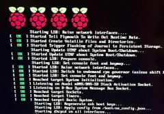 Die Himbeeren repräsentieren die vier Cores des Raspberry Pi