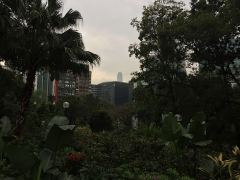Blick vom Kowloon Park auf die Hochhäuser