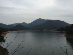 Aussicht auf die grünen Hügel hinter dem Tai Tam Stausee