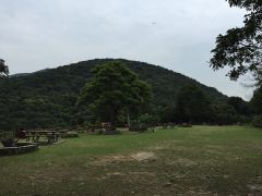 Picknick-Platz beim Tai Tam Intermediate Reservoir