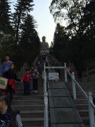Blick hoch über die 240 Treppenstufen bis zum Fuss des Buddha