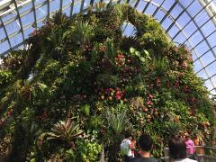 Im Cloud Forest, Blick auf die mit Gewächsen und Blumen überwachsene Struktur