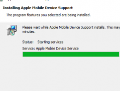 Mobile Support seem to hang