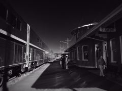 Der «Coast Starlight» in Eugene