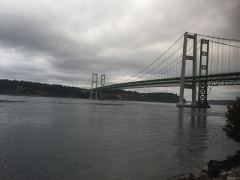 Die Tacoma Narrows Bridge