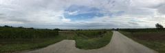 Panorama-Bild über die Weinbaugebiete von Rust und den Neusiedlersee