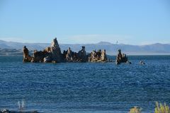 Tuffsteinformation im Wasser des Mono Lake