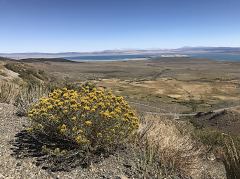 Blick vom Aussichtspunkt über das Mono Lake Basin