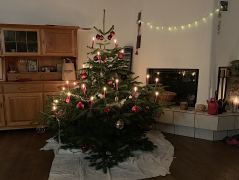 Weihnachtsbaum