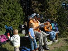 Wandervögel, gross und klein