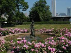 Rosengarten im Grant Park Chicago