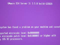 PSOD von VMWare ESXi