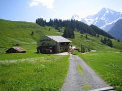 Pension Sonnenberg ob Mürren