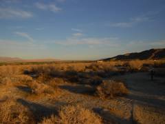 Dämmerung im Anza Borrego Desert State Park