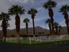 Standlunds Inn in Borrego Springs am Morgen