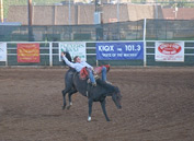 Bronco-Riding am Rodeo in Durango