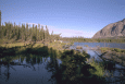 Minibild Pine Lake