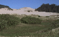 Minibild Sanddünen in Oregon