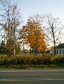 Minibild Herbststimmung